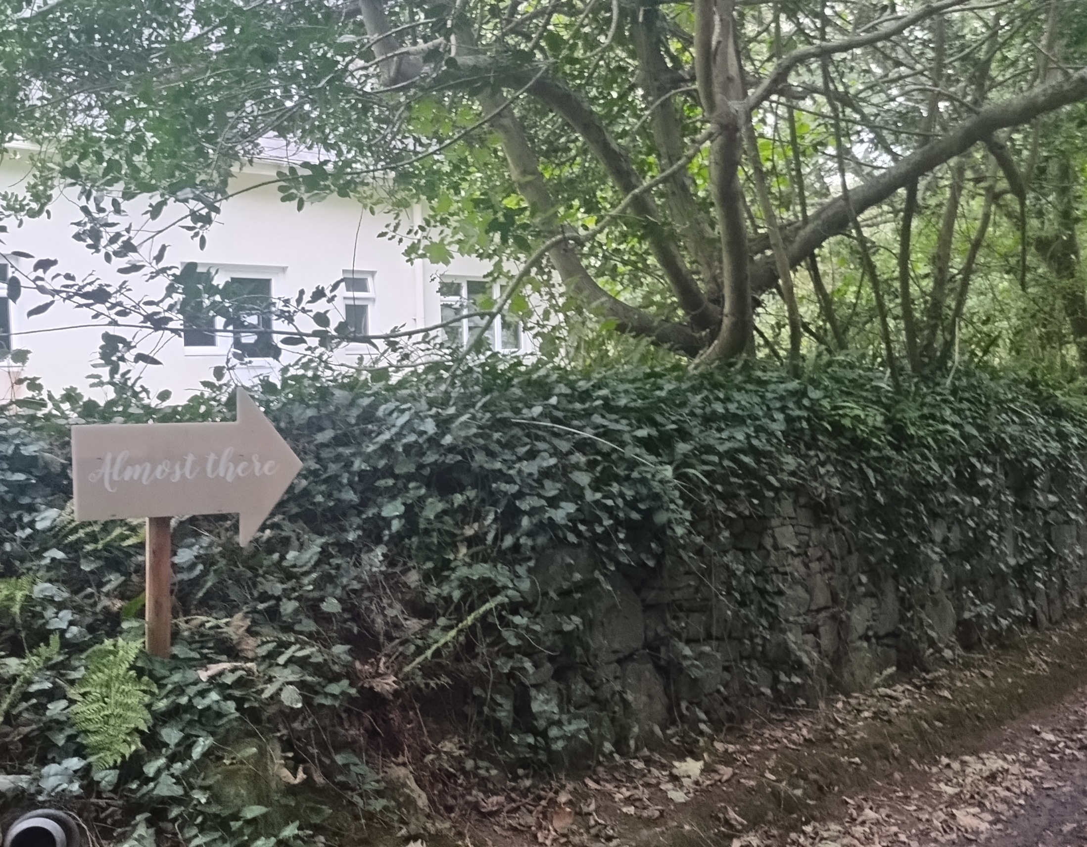 On a dirt road in a forest, a sign reads only: Almost There