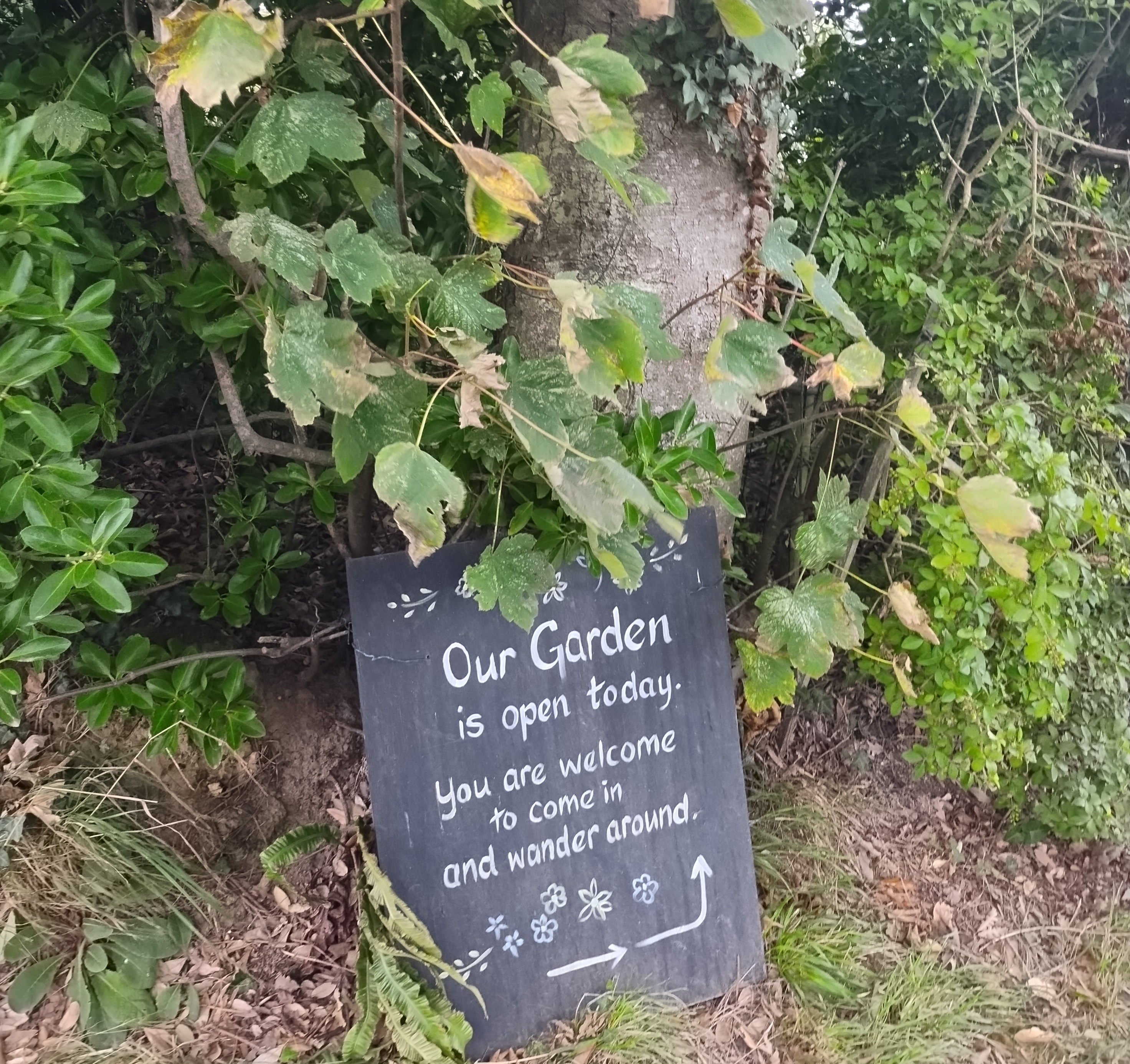 A homemade sign invites visitors to wander in